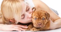 KÖPEĞİNİZİN AĞRILARINI GİDERMEK İÇİN BİLMENİZ GEREKENLER