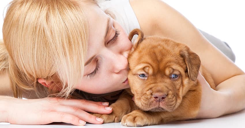 KÖPEĞİNİZİN AĞRILARINI GİDERMEK İÇİN BİLMENİZ GEREKENLER