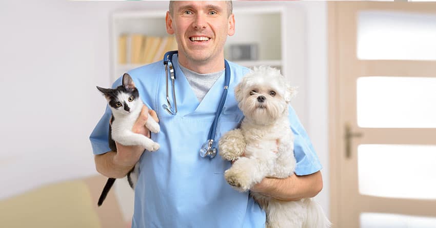 ATLAR İÇİN 10 FELAKET HAZIRLIĞI