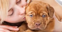 YAVRU KÖPEK BAKIMI İLE İLGİLİ 5 MADDE