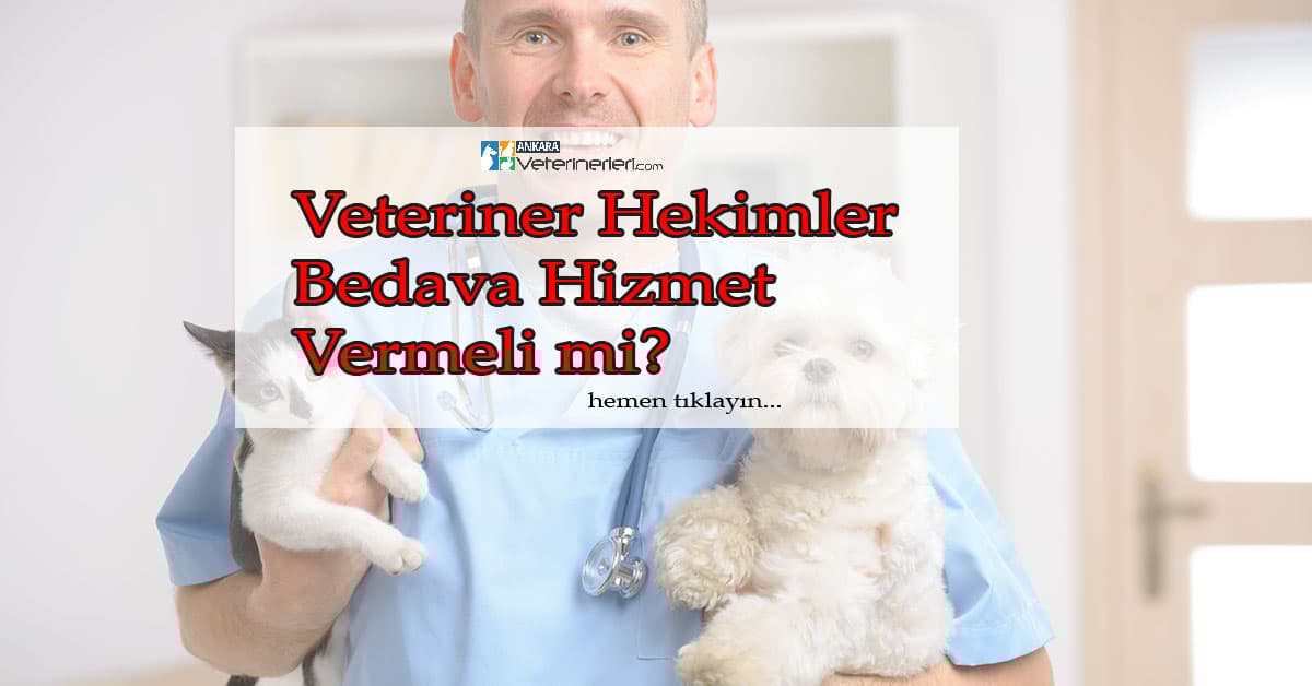 Veteriner hekimler bedava hizmet vermeli mi?