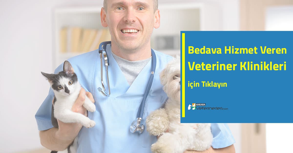 Bedava (Ücretsiz) Hizmet Veren Veteriner Hekimler (Ankara)