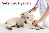 VETERİNER KLİNİKLERİ FİYATLARI