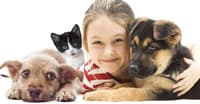 KÖPEKLERİN (VE KEDİLERİN) SAĞLIK YARARLARI DEVAMI