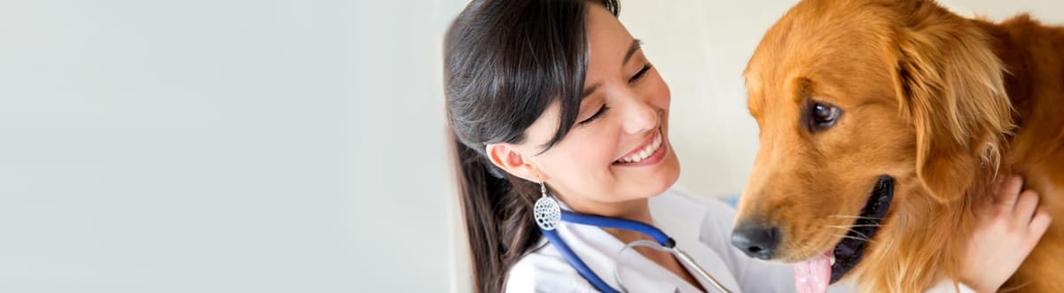ANKARA VETERİNER KLİNİKLERİ- 30'dan Fazla Veteriner Kliniği Burada