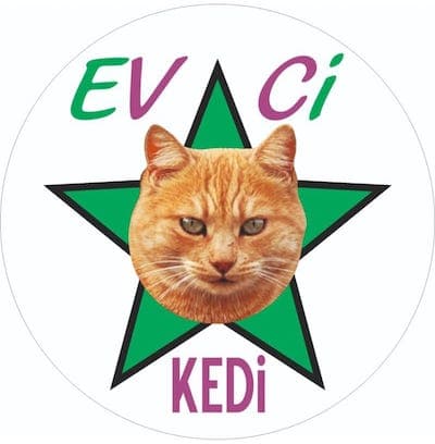 Evci Kedi Veteriner Muayenehanesi