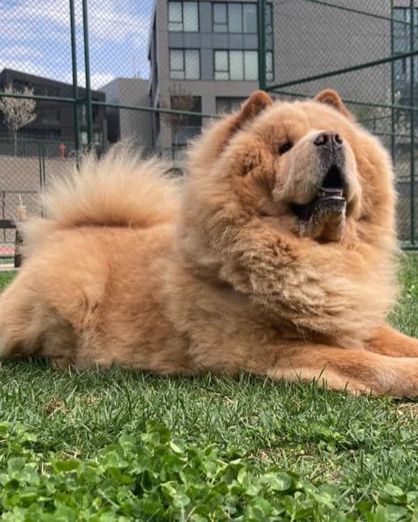 VetVital Veteriner Kliniği - 10. Fotoğraf VetVital Veteriner Kliniği - 10. Fotoğraf