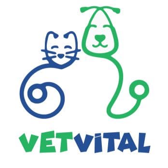 VetVital Veteriner Kliniği VetVital Veteriner Kliniği