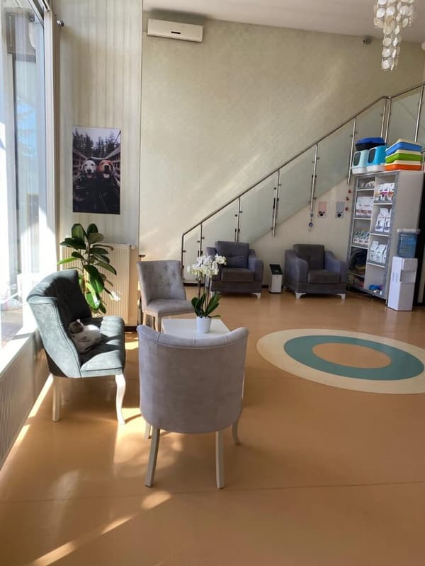 Pet Care Veteriner Kliniği - 16. Fotoğraf Pet Care Veteriner Kliniği - 16. Fotoğraf