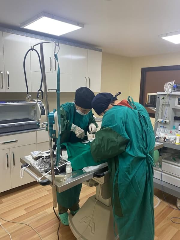 Pet Care Veteriner Kliniği - 2. Fotoğraf Pet Care Veteriner Kliniği - 2. Fotoğraf