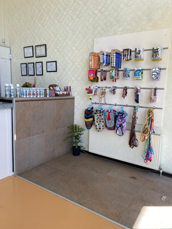 Pet Care Veteriner Kliniği - 18. Fotoğraf Pet Care Veteriner Kliniği - 18. Fotoğraf