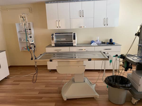 Pet Care Veteriner Kliniği - 3. Fotoğraf Pet Care Veteriner Kliniği - 3. Fotoğraf