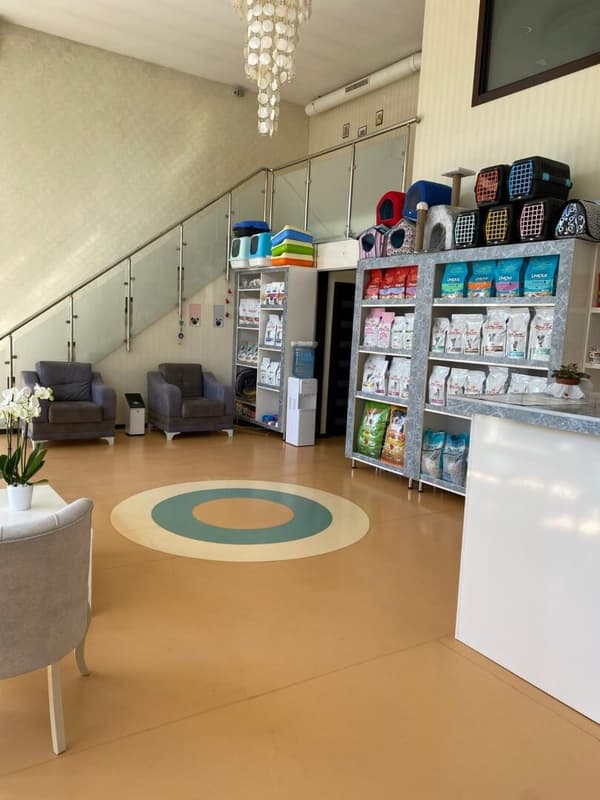 Pet Care Veteriner Kliniği - 6. Fotoğraf Pet Care Veteriner Kliniği - 6. Fotoğraf