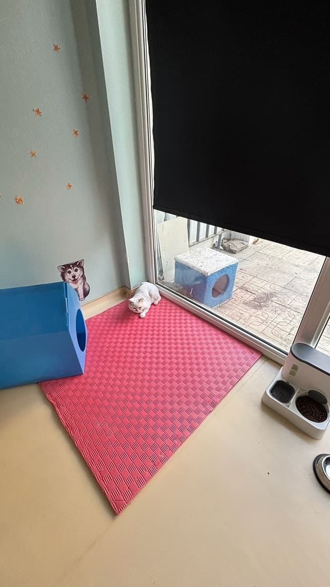 Pet Care Veteriner Kliniği