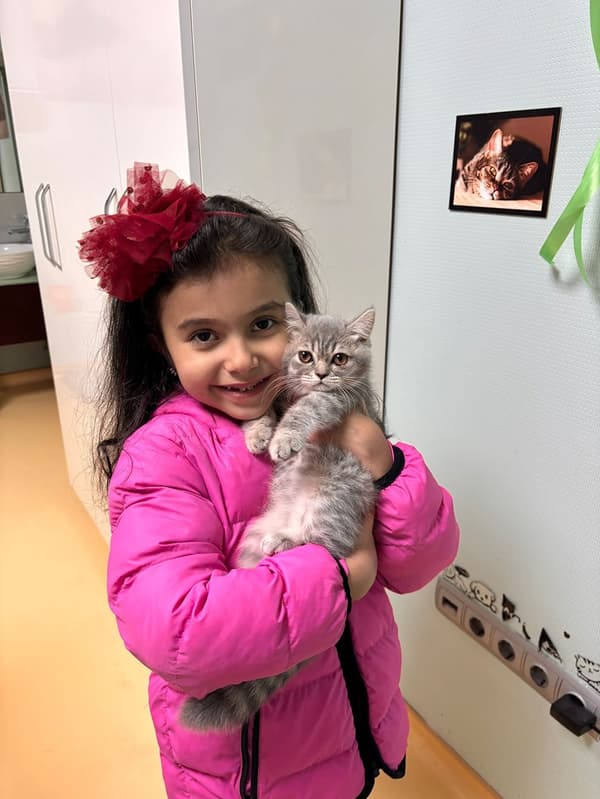 Pet Care Veteriner Kliniği - 10. Fotoğraf