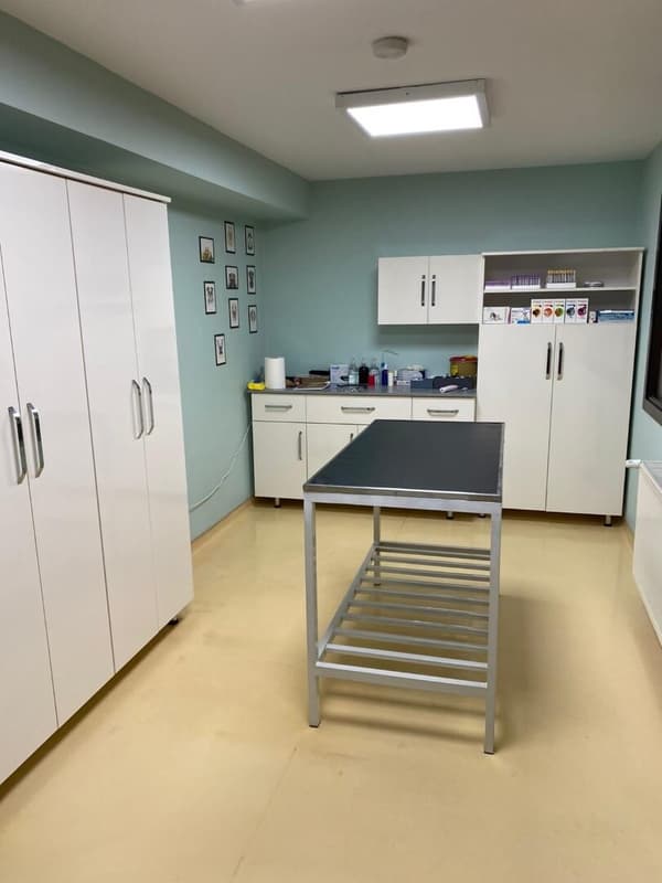 Pet Care Veteriner Kliniği - 4. Fotoğraf Pet Care Veteriner Kliniği - 4. Fotoğraf
