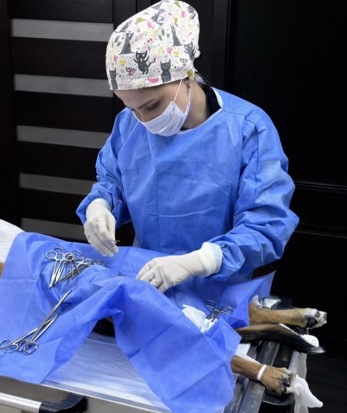 Pet Care Veteriner Kliniği