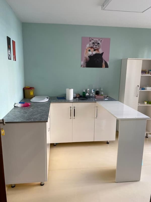 Pet Care Veteriner Kliniği - 8. Fotoğraf Pet Care Veteriner Kliniği - 8. Fotoğraf