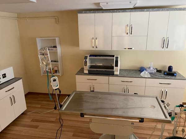 Pet Care Veteriner Kliniği - 5. Fotoğraf Pet Care Veteriner Kliniği - 5. Fotoğraf