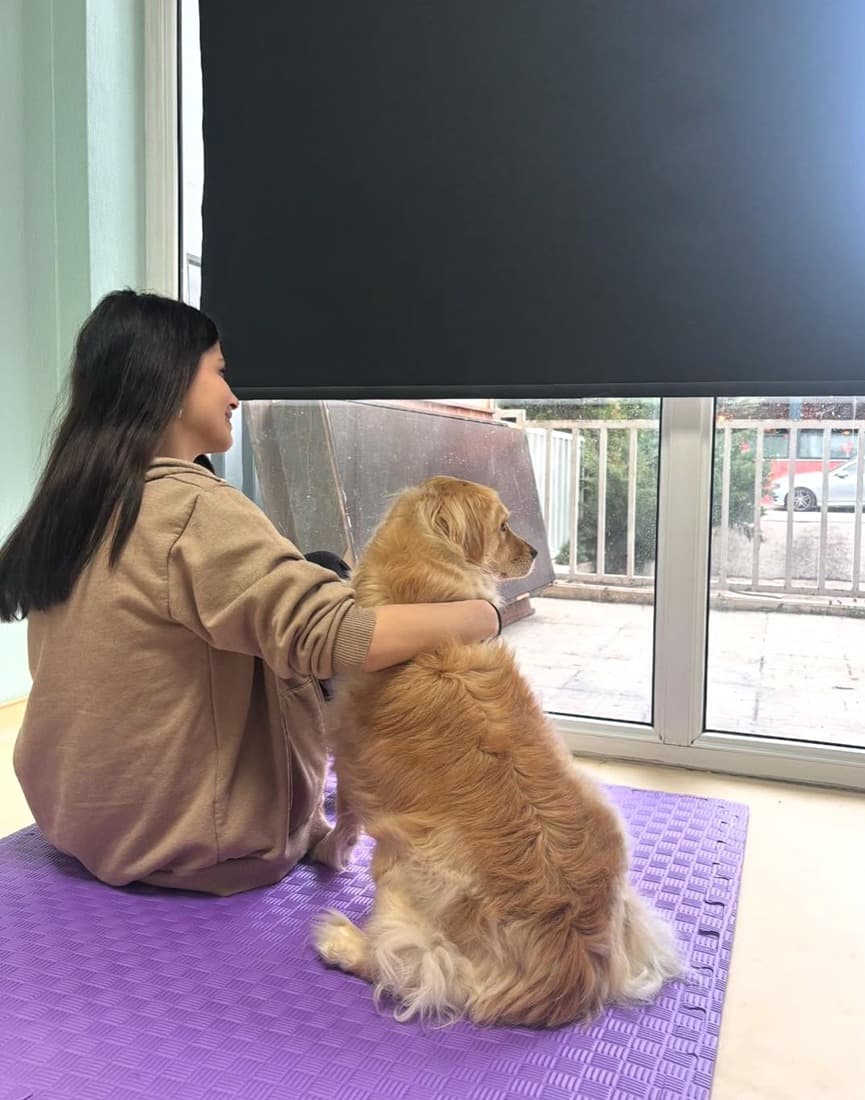 Pet Care Veteriner Kliniği - 3. Fotoğraf
