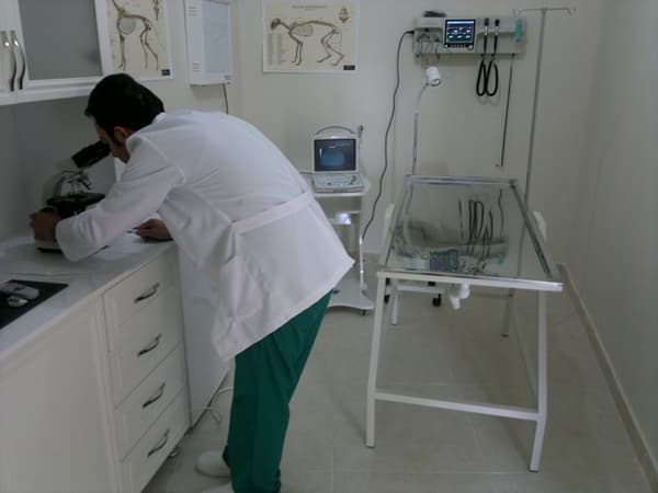 İncek Petlife Veteriner Kliniği - 2. Fotoğraf İncek Petlife Veteriner Kliniği - 2. Fotoğraf