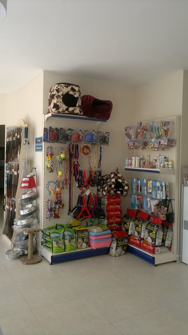 İncek Petlife Veteriner Kliniği - 3. Fotoğraf İncek Petlife Veteriner Kliniği - 3. Fotoğraf