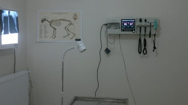 İncek Petlife Veteriner Kliniği - 12. Fotoğraf İncek Petlife Veteriner Kliniği - 12. Fotoğraf