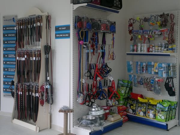 İncek Petlife Veteriner Kliniği - 10. Fotoğraf
