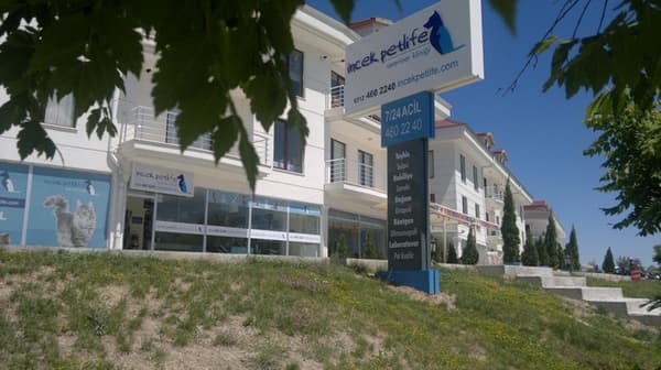 İncek Petlife Veteriner Kliniği - 6. Fotoğraf