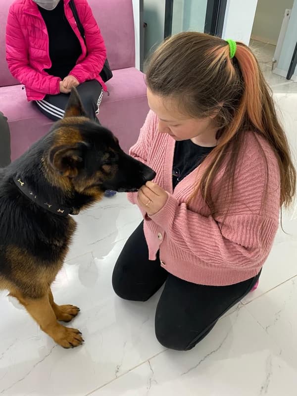 Pet Care Center - 2. Fotoğraf Pet Care Center - 2. Fotoğraf