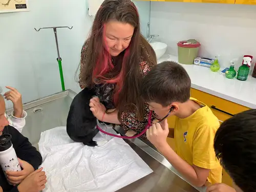 Pet Care Center - 1. Fotoğraf Pet Care Center - 1. Fotoğraf