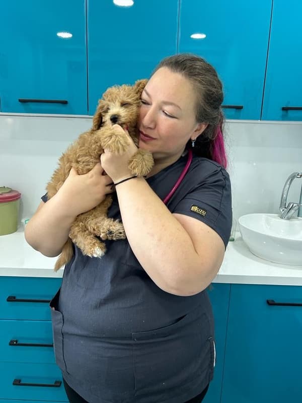 Pet Care Center - 4. Fotoğraf Pet Care Center - 4. Fotoğraf