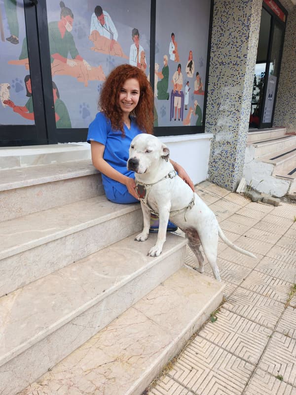 Vetes Veteriner Kliniği - 5. Fotoğraf