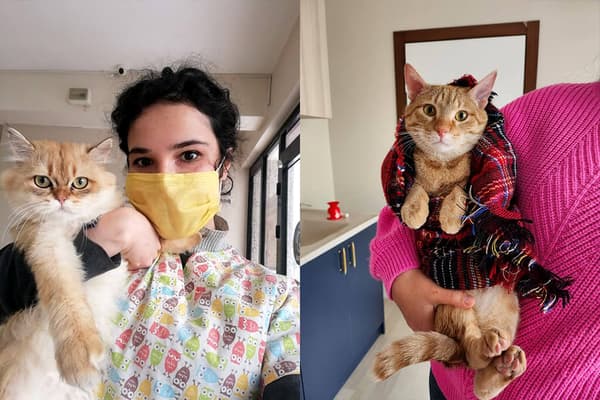 Vetes Veteriner Kliniği - 16. Fotoğraf