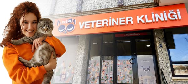 Vetes Veteriner Kliniği - 6. Fotoğraf