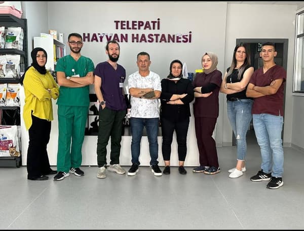 Telepati Hayvan Hastanesi Keçiören - 1. Fotoğraf