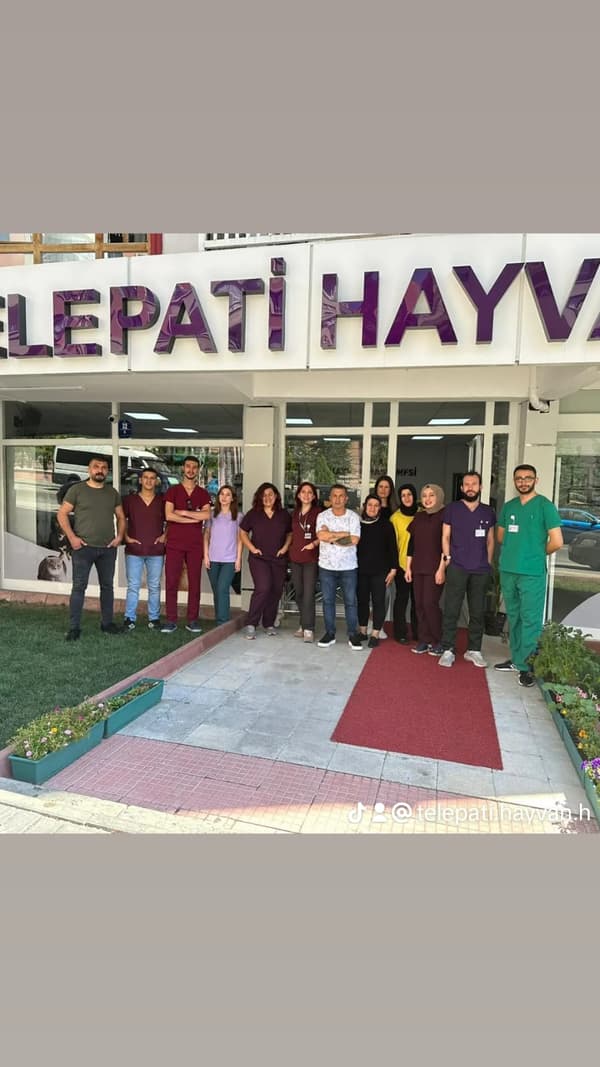 Telepati Hayvan Hastanesi Keçiören - 7. Fotoğraf