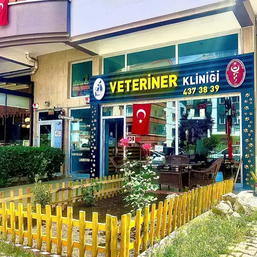 Vera Veteriner Kliniği - 1. Fotoğraf Vera Veteriner Kliniği - 1. Fotoğraf