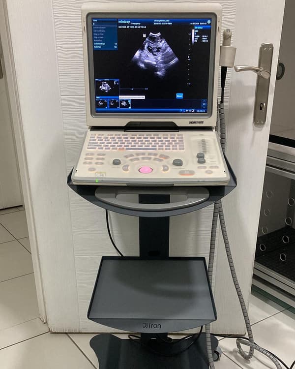 Happy Tails Veteriner Kliniği - 10. Fotoğraf Happy Tails Veteriner Kliniği - 10. Fotoğraf