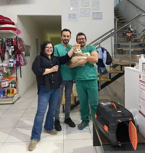 Happy Tails Veteriner Kliniği - 1. Fotoğraf Happy Tails Veteriner Kliniği - 1. Fotoğraf