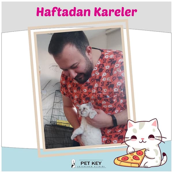 Pet Key Veteriner Kliniği - 8. Fotoğraf