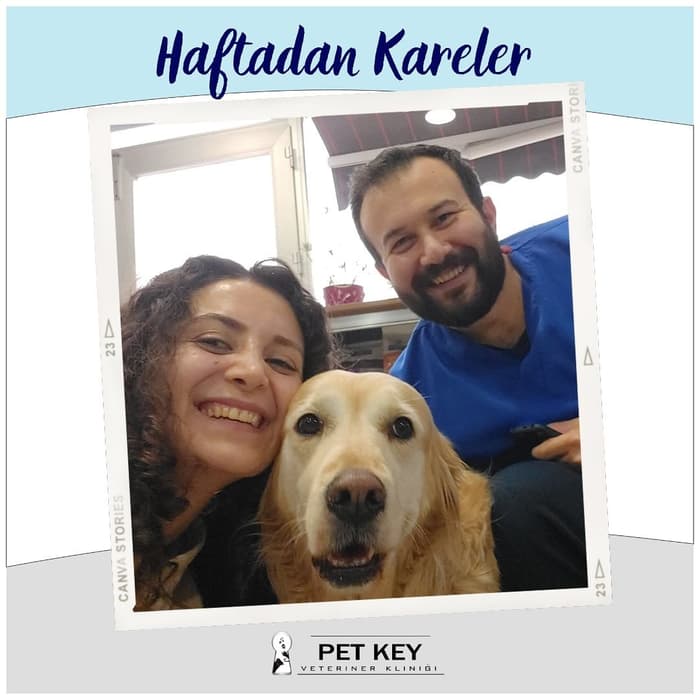 Pet Key Veteriner Kliniği - 1. Fotoğraf