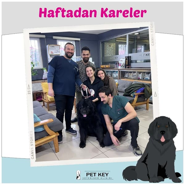 Pet Key Veteriner Kliniği - 6. Fotoğraf