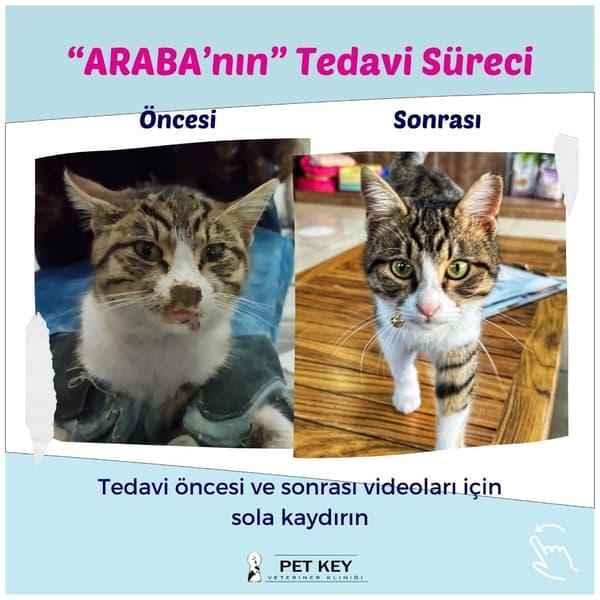 Pet Key Veteriner Kliniği - 7. Fotoğraf