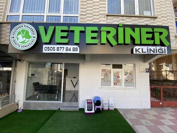 Keçiören Pınarbaşı Veteriner Kliniği - 4. Fotoğraf Keçiören Pınarbaşı Veteriner Kliniği - 4. Fotoğraf