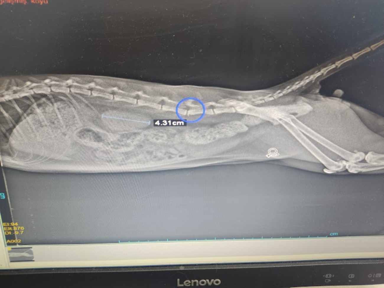 Keçiören Pınarbaşı Veteriner Kliniği