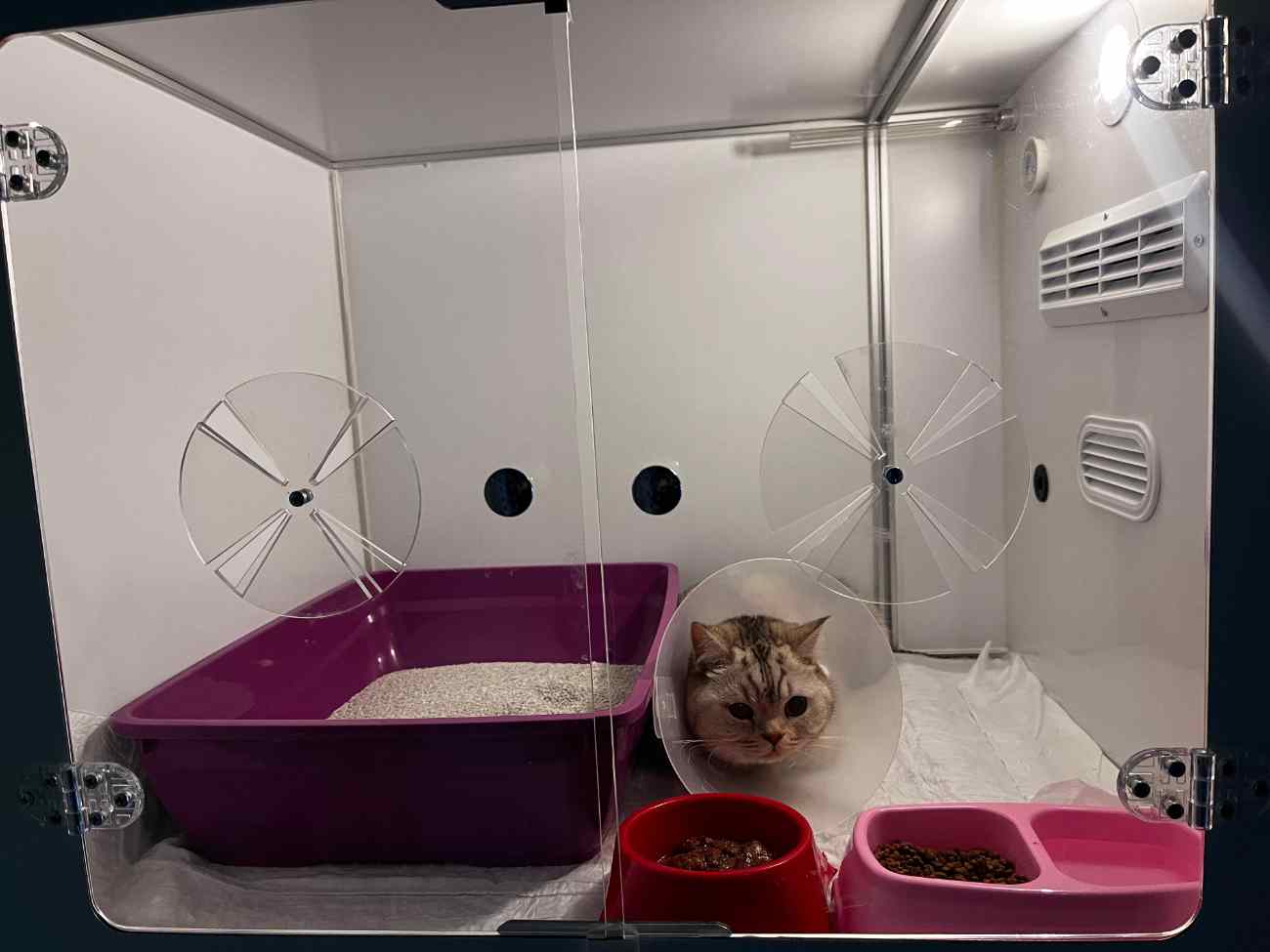 Bozkır Veteriner Kliniği