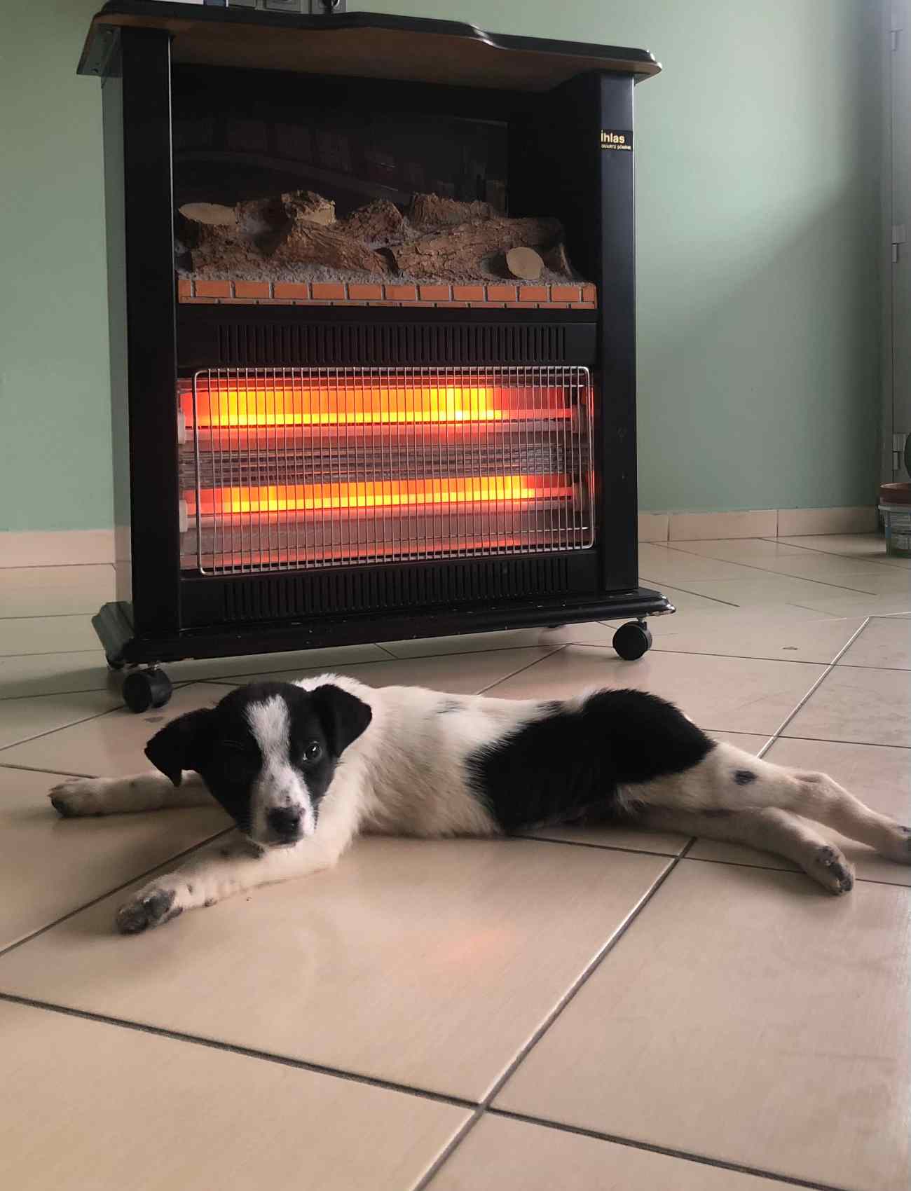 Bozkır Veteriner Kliniği