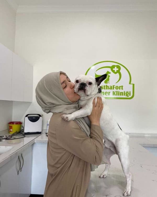 WesthaFort Veteriner Kliniği - 2. Fotoğraf WesthaFort Veteriner Kliniği - 2. Fotoğraf