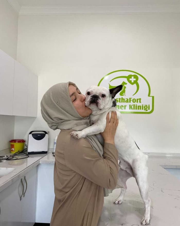 WesthaFort Veteriner Kliniği - 2. Fotoğraf